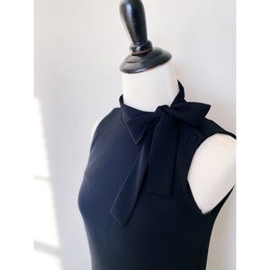 Talbots Shift Dress with Bow and Buttons